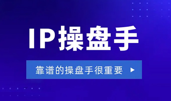 IP操盘手
